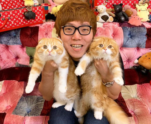 猫好きな芸能人」2019 勝手にランキング＆猫画像 やっぱり家族？（男性 